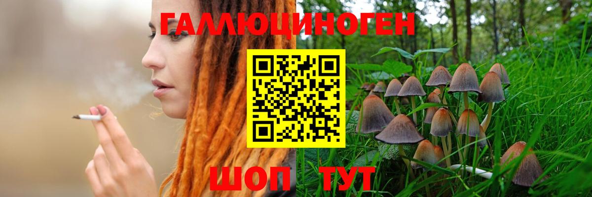 Галлюциногенные грибы MAGIC MUSHROOMS  Галлюциногенные грибы Psilocybine cubensis  Балтийск  дарнет шоп  Вход с VPN 